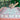 Green Mahjong tile set from the House Collection, featuring intricately designed tiles with floral motifs, butterflies, and peacocks. Tile size: 1" x 1 7/16" x 7/16".